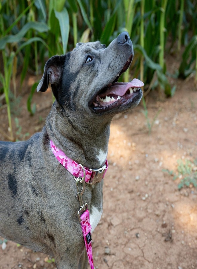 كانتري بروك ديزاين طوق كلاب Country Brook Petz - وردي اللون بنقشة عظمية مموهة - مجموعة مموهة بتصاميم متينة (طول 6 أقدام، عرض 1 بوصة) - Image 2